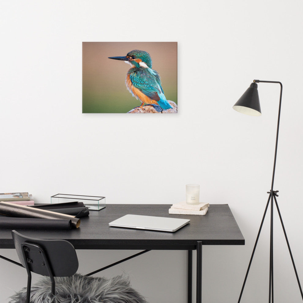 Common Kingfisher Bird on Perch Animal Wildlife Photograph Canvas Wall Art Print, 18" X 24"