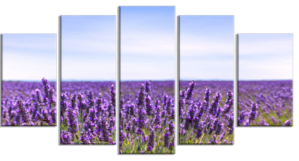 "Close View of Lavender Flower Field" Landscape Wall Art, 5 Panels, 60"x32"