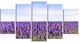 "Close View of Lavender Flower Field" Landscape Wall Art, 5 Panels, 60"x32"