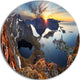 Sunset At Rocky Mountains Norway, Landscape Round Metal Wall Art, 23"