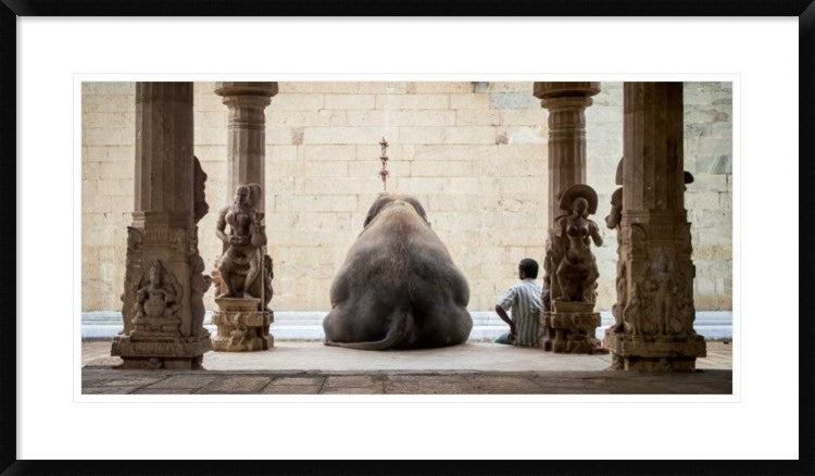 "The Elephant and Its Mahot" Framed Digital Print by Ruhan, 38x22"