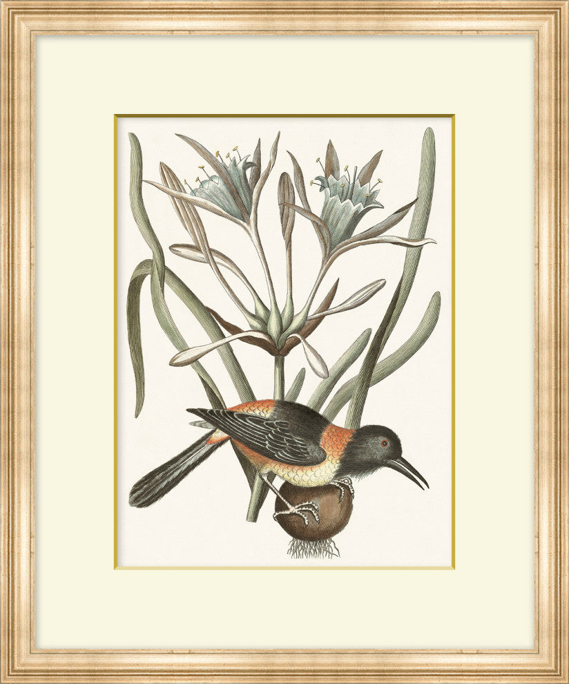 Summer Bird 7, Giclee Reproduction Artwork