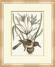Summer Bird 7, Giclee Reproduction Artwork