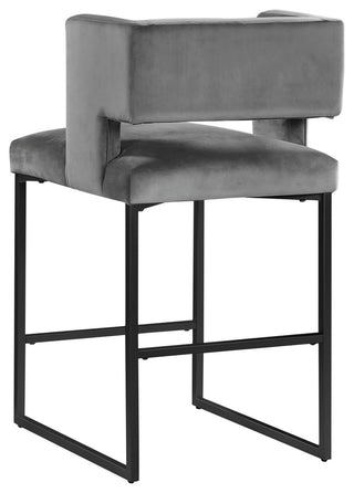 Leonard Modern 27" Counter Height Stool, Set of 2, Grey/Black