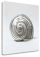 "Beachside Treasure II" By Assaf Frank, Giclee Print on Gallery Wrap Canvas