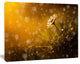 Forest After Rain during Sunset, Large Floral Canvas Art Print, 20"x12"