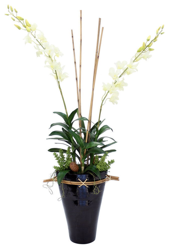 White Orchids in Large Black Fuji Vase