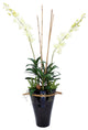 White Orchids in Large Black Fuji Vase
