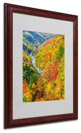 'Valley' Matted Framed Canvas Art by CATeyes