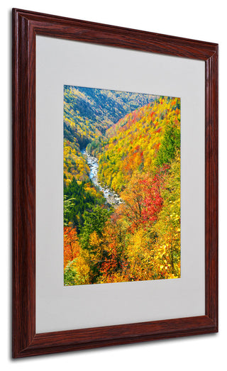 'Valley' Matted Framed Canvas Art by CATeyes