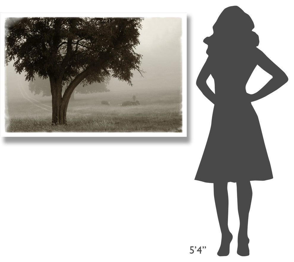 "Calm Mist no Limb" Digital Paper Print by Debra Van Swearingen, 50"x34"