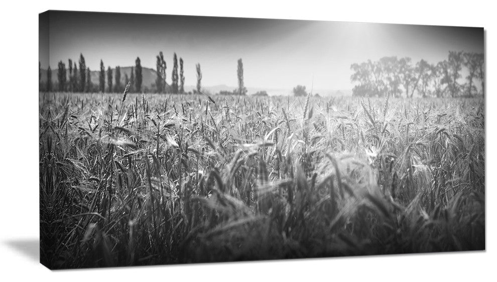 "Black And White Wheat Field" Landscape Wall Art Canvas Print, 32"x16"