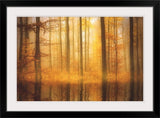 "Nature is Magic" Black Framed Art Print, 38"x28"x1"