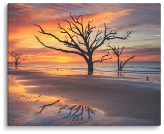 Sunrise & Trees At Edisto Island Coastal Landscape Photo Canvas Wall Art Print, 16" X 20"