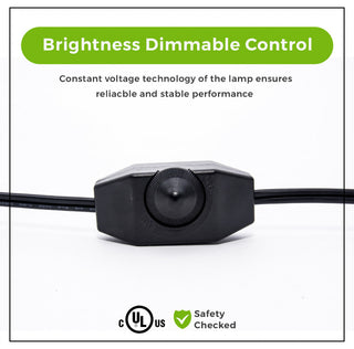 Himalayan Crystal Rock White Natural Shape Medium Salt Lamp, Wood Base