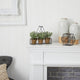 7" Mini Jade Garden Artificial Plant, Hanging Planter