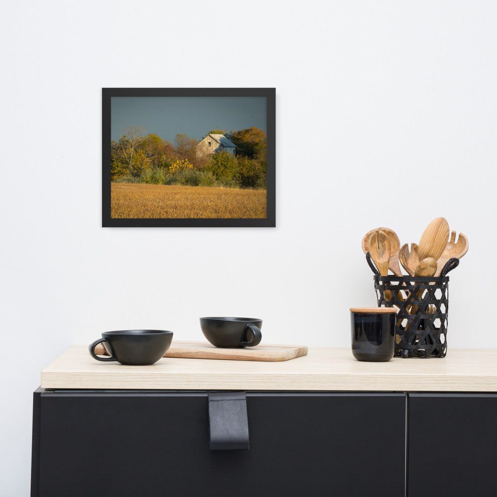 Abandoned Barn In The Trees Framed Photo Paper Wall Art Prints, Black, 11" X 14"