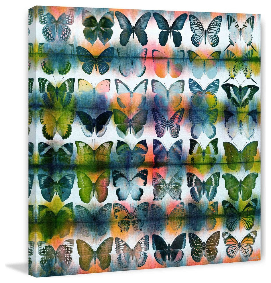 "Butterflies Squared" Fine Art Canvas Print, 18"x18"