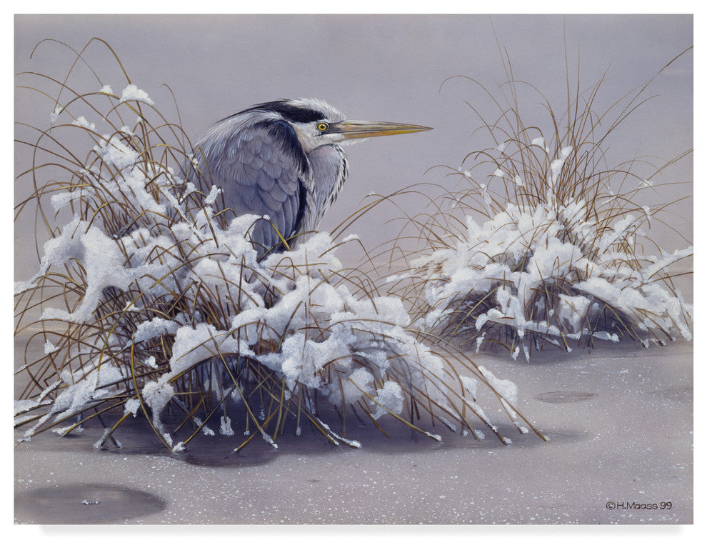 Harro Maass 'Grey Heron' Canvas Art, 32"x24"
