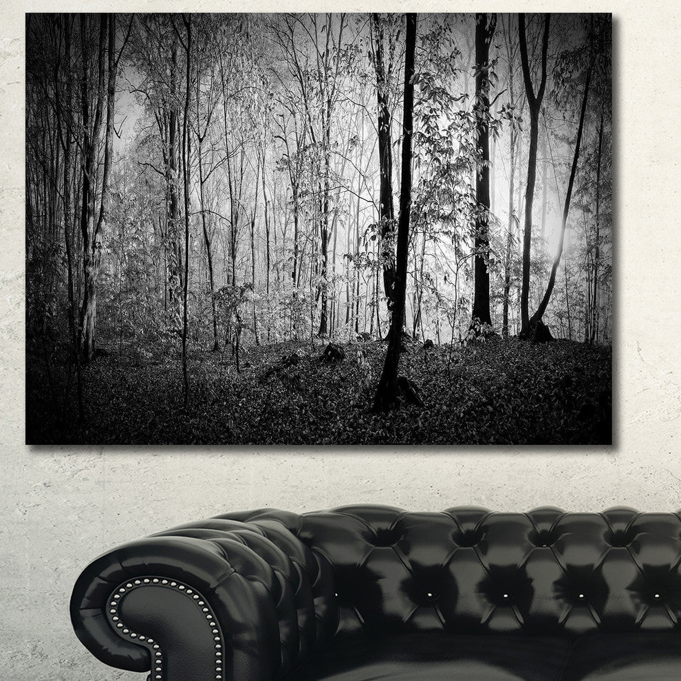Morning in Thick Fall Forest, Landscape Canvas Art Print, 40"x30"