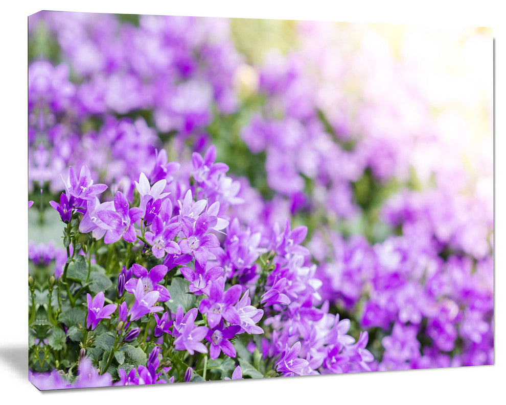 Beautiful Campanula Flower Bouquet, Large Floral Canvas Artwork, 20"x12"