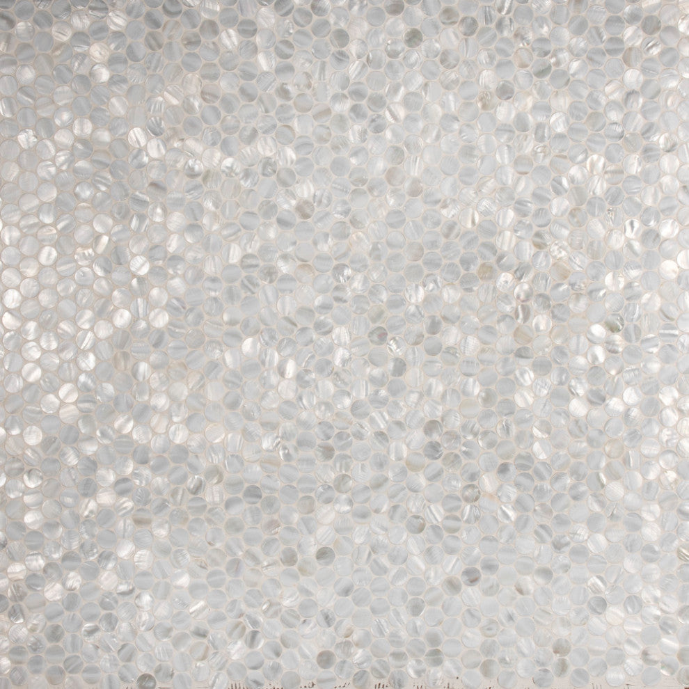 Conchella Penny Mosaic Wall Tile, White
