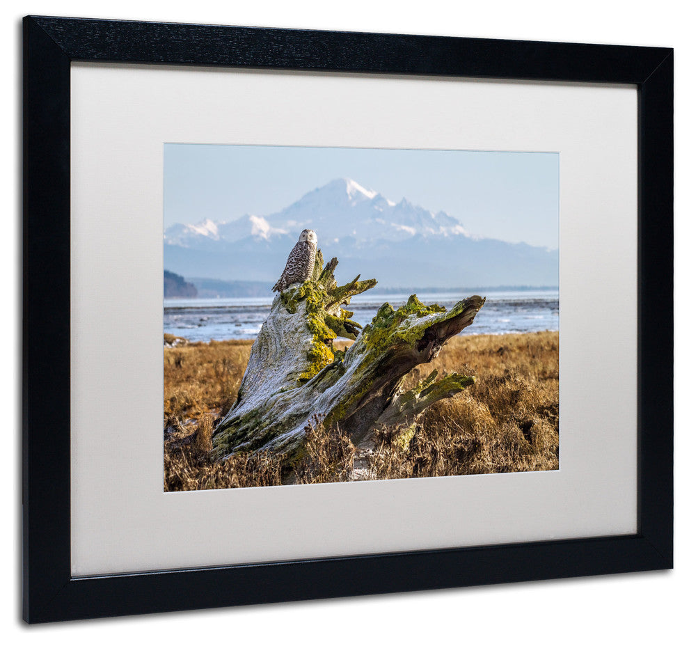 'Snowy Owl' Matted Framed Canvas Art by Pierre Leclerc
