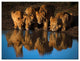 Lions of Mara' Canvas Wall Decor
