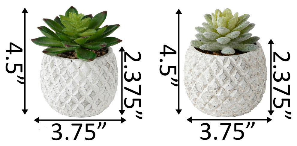 Set Of 2 Pineapple Pot Succ