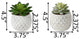 Set Of 2 Pineapple Pot Succ