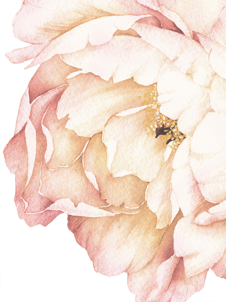 Peony Flowers Vinyl Wall Sticker, Vintage Peach