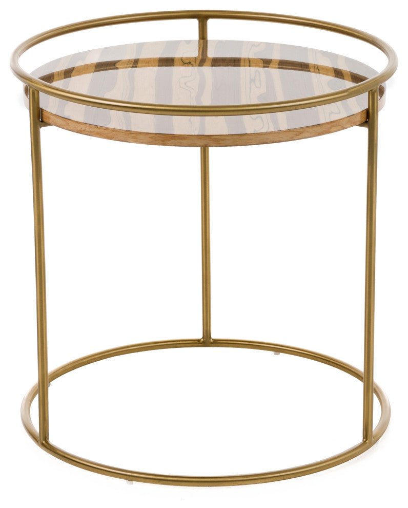 Modrest Gilcrest Glam Brown and Gold Marble End Table