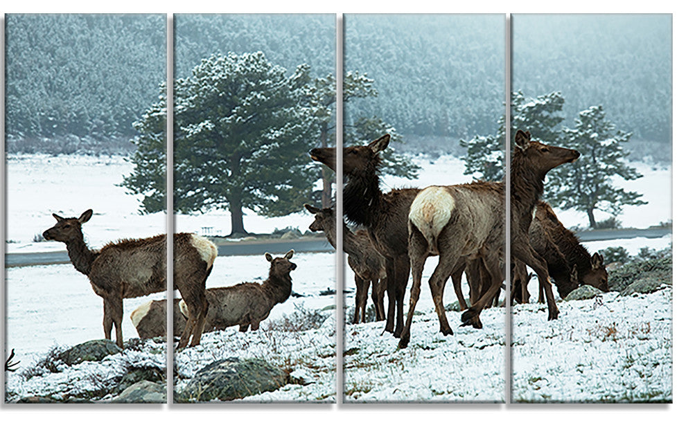 Gang of Deer in Rocky Mountains, Landscape Canvas Art, 48"x28", 4 Panels