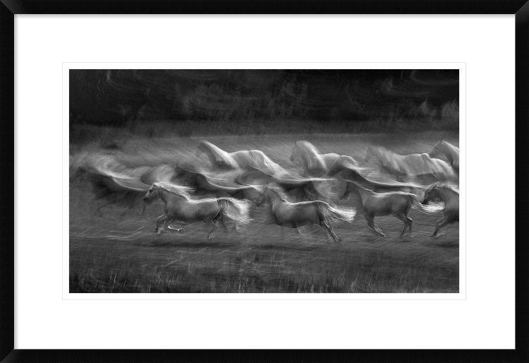 "Stampedo" Framed Digital Print by Milan Malovrh, 30"x20"
