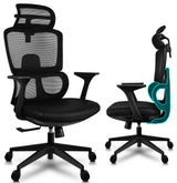 Ergonomic Office Mesh Chair with Lumbar Support Adjustable Armchair Tall Back