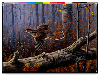 Wilhelm Goebel 'Windfall Glider Ruffed Grouse' Canvas Art, 47"x35"
