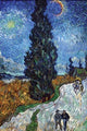 Van Gogh - Country Road in Provence by Night - Gallery Wrapped Canvas Art