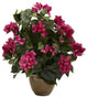 Bougainvillea With Ceramic Vase