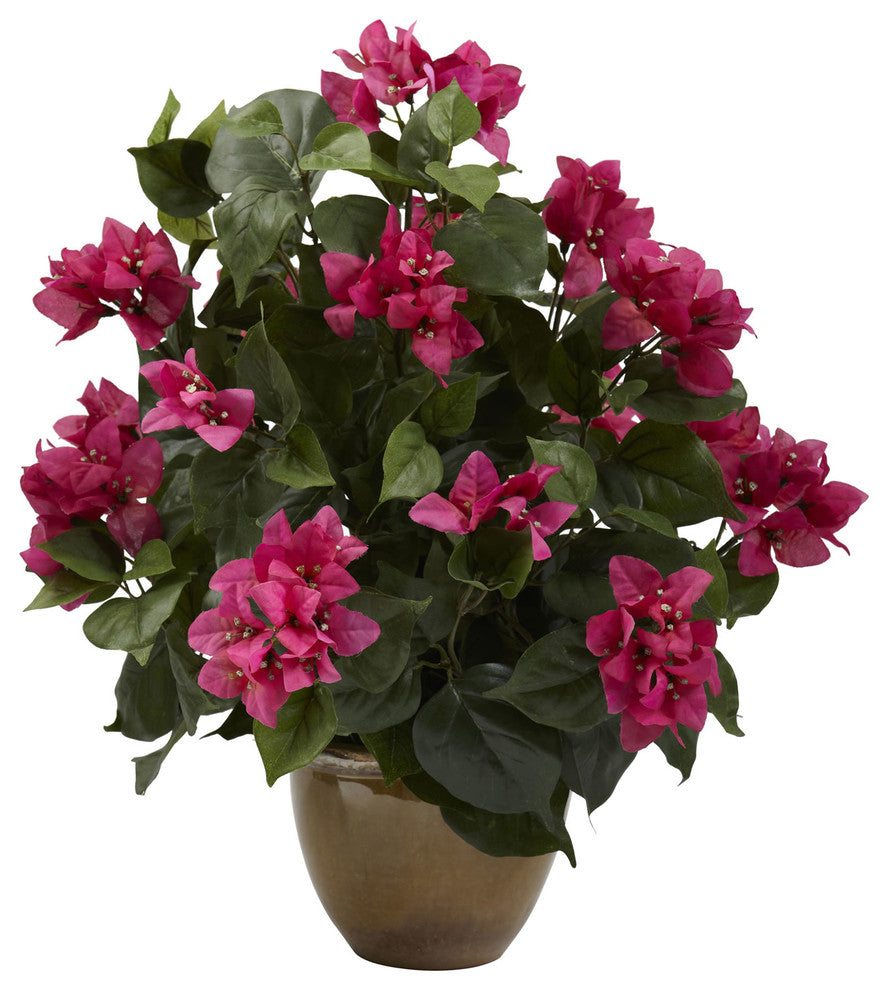Bougainvillea With Ceramic Vase