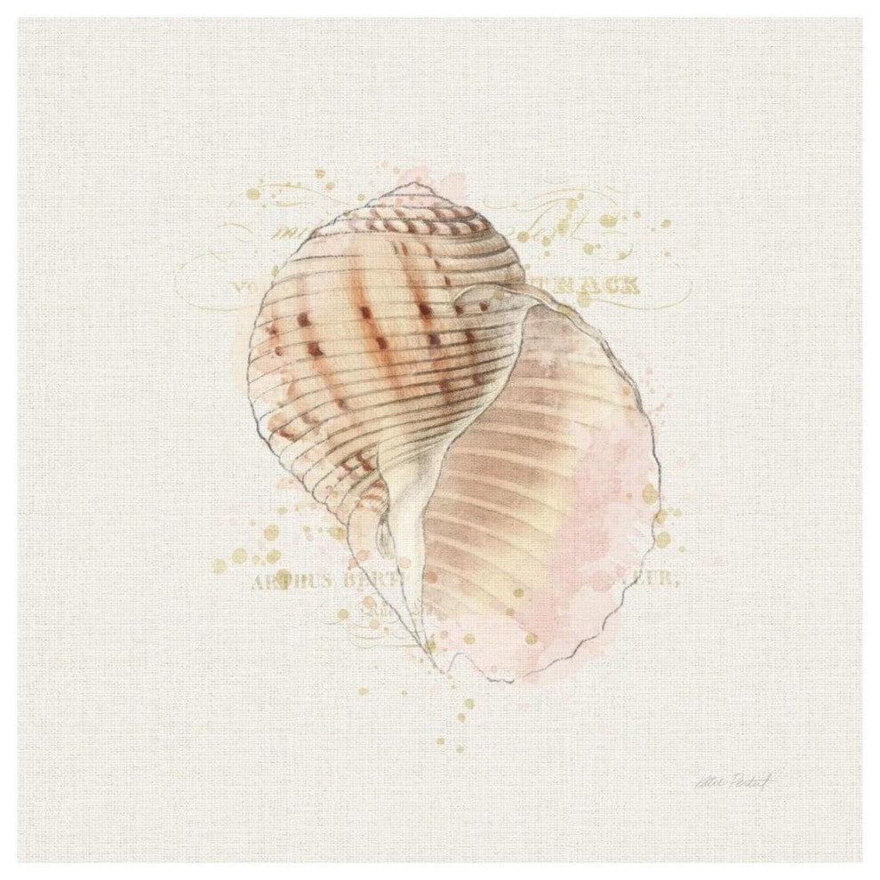 "Shell Collector V" Digital Paper Print by Katie Pertiet, 20"x20"