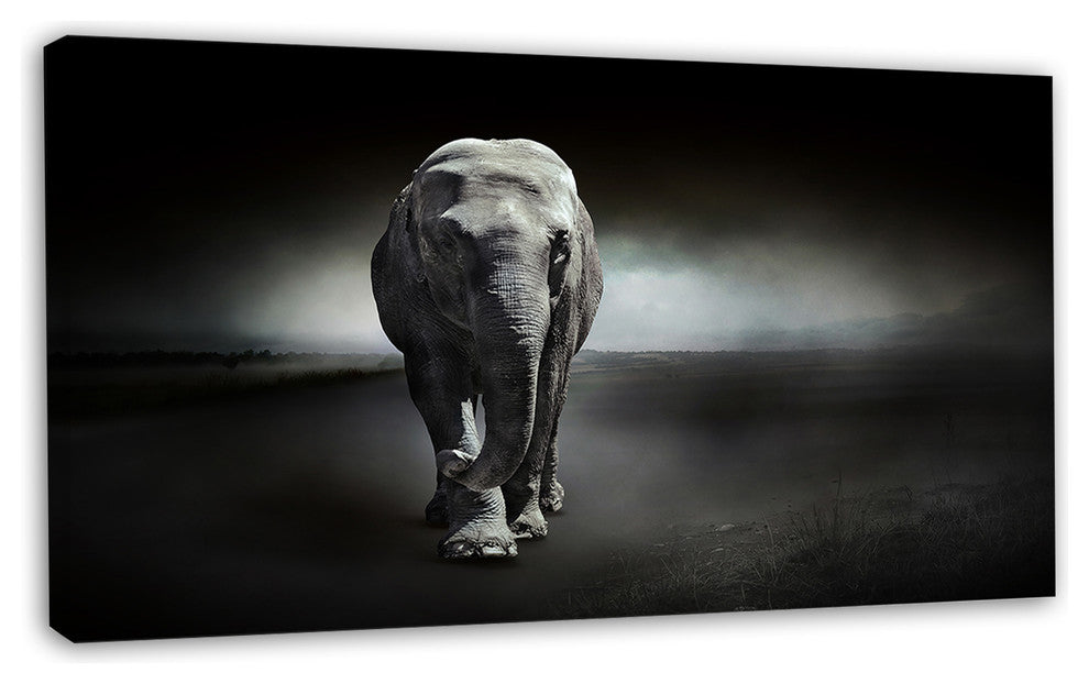 Large Elephant on Black, Animal Canvas Wall Art, 32"x16"