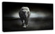 Large Elephant on Black, Animal Canvas Wall Art, 32"x16"