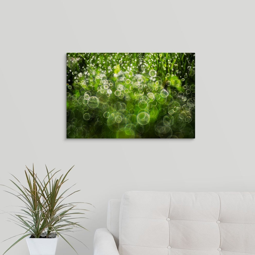 "Dew Drops On Grass" Wrapped Canvas Art Print, 24"x16"x1.5"