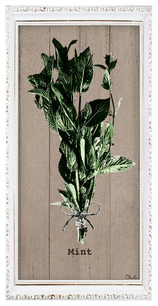 Mint Wrapped Canvas Botanical Kitchen Wall Art