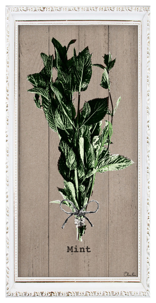 Mint Wrapped Canvas Botanical Kitchen Wall Art