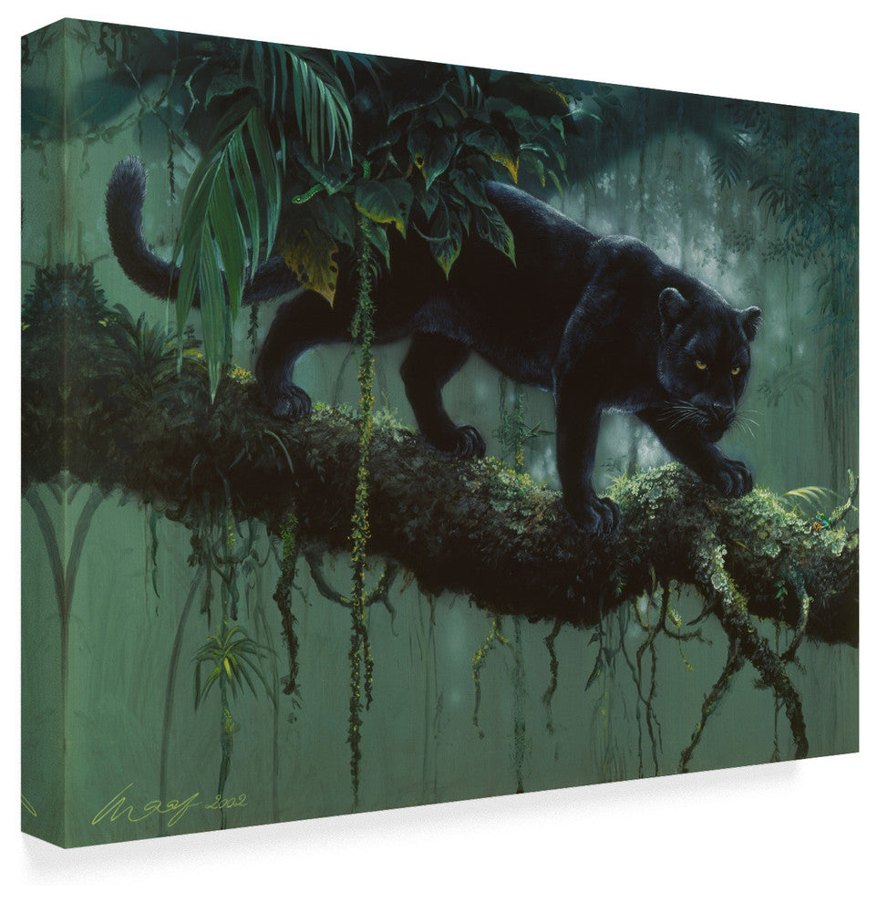 Harro Maass 'Black Jaguar Stalking' Canvas Art, 47"x35"