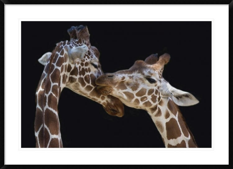 "The Kiss" Framed Digital Print by Manfred Foeger, 44x32"