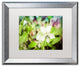 PIPA Fine Art ''Tranquil China Violet'' Matted Framed Art, 20x16