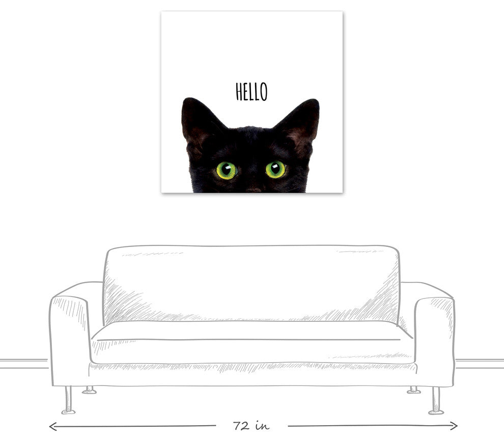 Designs Direct Curious Hello Black Cat 36x36 Canvas Wall Art