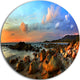Colorful Tropical Sunset, Photo Disc Metal Artwork, 11"